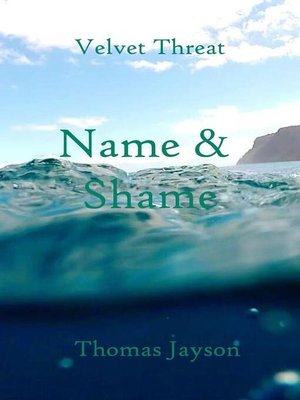 cover image of Name and Shame